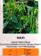 French Bean Dwarf Maxi Seeds